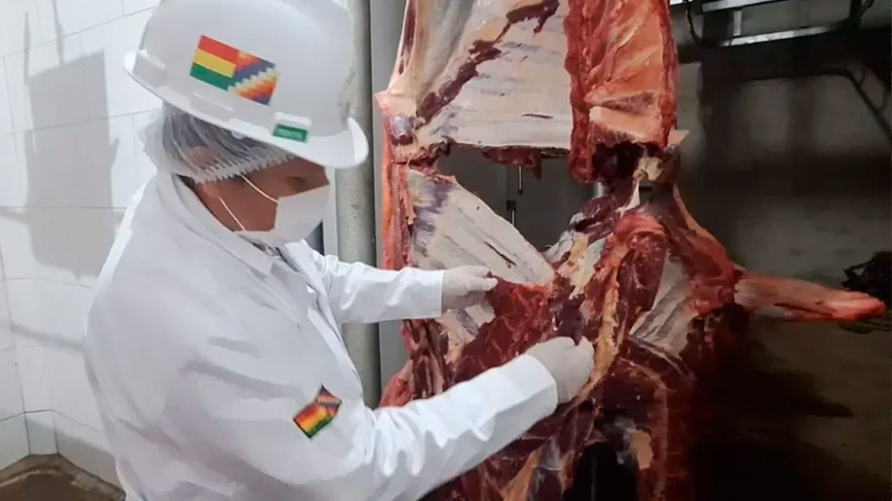 http://www.redpat.tv//uploads/dfgr_276374df69.jpg