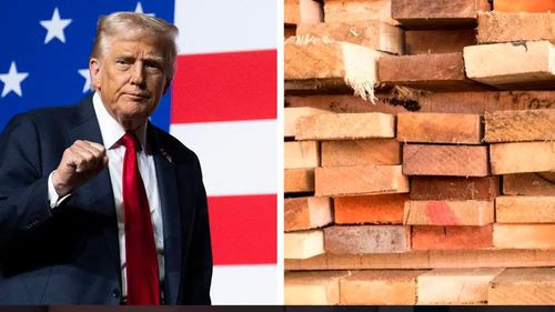 EEUU fija nuevos aranceles a la madera y el sector forestal boliviano analiza el impacto