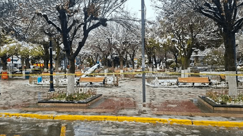 Mujer muere tras caerle una rama de árbol durante intensa nevada en Oruro
