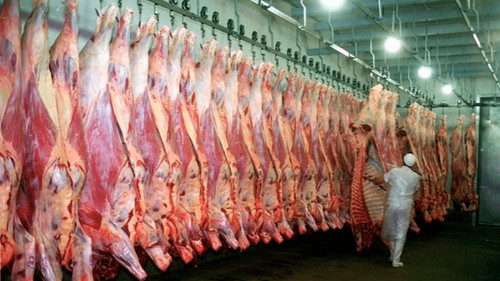 Carne y leche boliviana apuntan al mercado chileno tras avances sanitarios