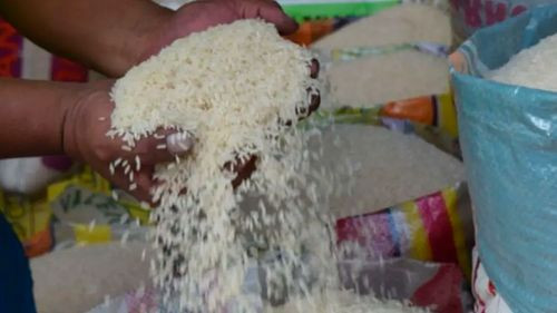 Productores alertan impacto por arroz ilegal e insisten en reunión urgente con el Gobierno