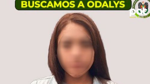 Dos años de prisión para implicado en el caso Odalys