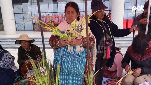 Feria de Ramos en El Alto reunirá 20.000 expositores y productores peruanos