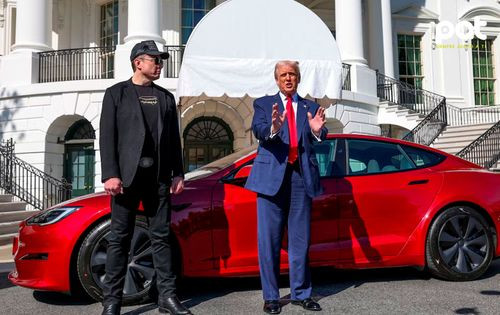 Tesla pierde más de USD 100.000 millones tras enfrentamiento entre Elon Musk y Donald Trump