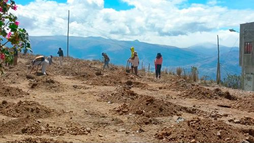 Alcaldía y UPEA reforestan mirador en El Alto para impulsar turismo
