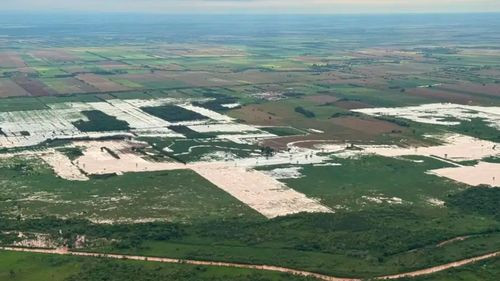 Riadas dañan más de 6.000 hectáreas de soya en el norte cruceño y productores temen más pérdidas