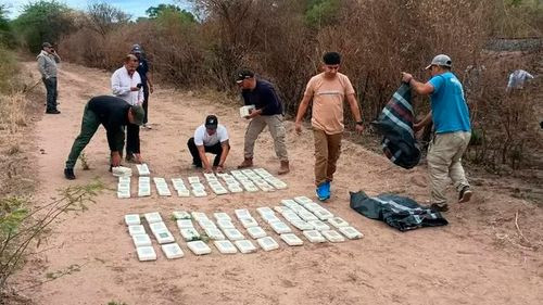 Detienen a dos bolivianos tras caída de avioneta en Argentina