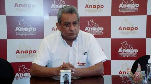 “Desabastecimiento total de diésel” pone en riesgo 2,5 millones de toneladas de granos estratégicos