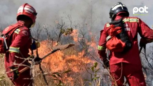 Bomberos podrían quedarse sin votar por riesgo de descontrol de incendios