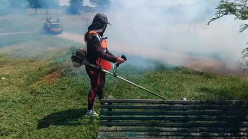 Santa Cruz intensifica acciones contra la chikungunya