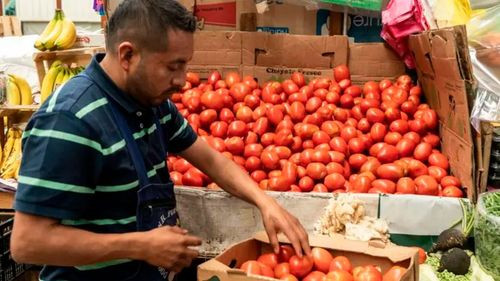 Aranceles al tomate mexicano afectan precios, productores y relaciones bilaterales