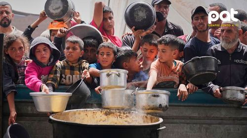 Gaza al borde de la hambruna: crisis humanitaria sin declaración oficial