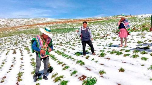 Más de 29 mil familias afectadas por desastres naturales en Potosí durante campaña agrícola