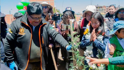 "Acacia Eliser Roca" es el primer árbol plantado en la campaña de forestación