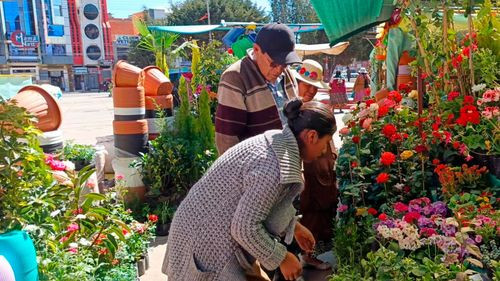 ¡El Alto ecológico! Relanzan Feria de floricultoras en el Distrito 3