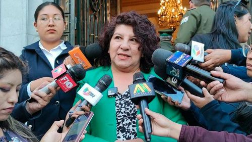 Arraya cuestiona decisión que anula proceso contra Áñez