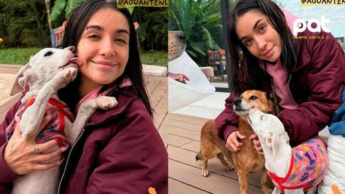 María Becerra convierte su casa en refugio para perros rescatados y lanza campaña de adopción