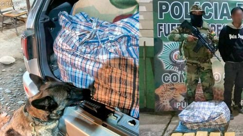 Perro policial detecta marihuana en trufi y detienen a dos personas en Entre Ríos