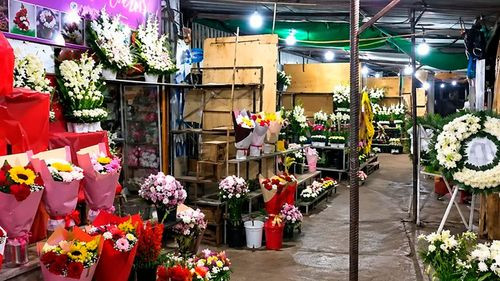 Venta de flores aumenta por Todos Santos