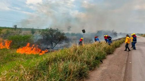 Santa Cruz registra 13 incendios forestales y más de 171 mil hectáreas afectadas