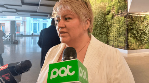 Diputada Patricia Patiño exige informe al Canciller y rechaza obras del “escudo fronterizo” de Chile