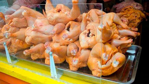 Avicultores de Cochabamba alertan pérdidas por costos de producción