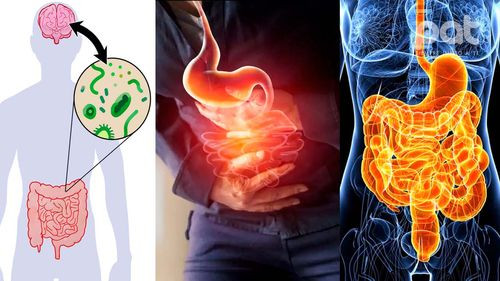 Nueva medicina: Curando más de  90 enfermedades a través de la  restauración de la microbiota  intestinal