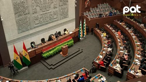 Diputada del MAS advierte que el bloqueo a créditos internacionales profundiza la crisis económica