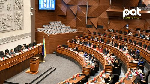 Diputados aprueban ley que regula el ejercicio profesional de los trabajadores sociales