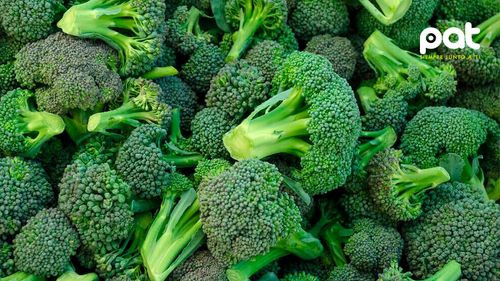 El brócoli, el vegetal que combate la diabetes y fortalece el corazón
