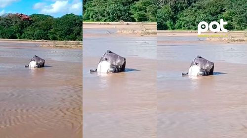 Encuentran cadáver dentro de una maleta bajo el puente del Urubó
