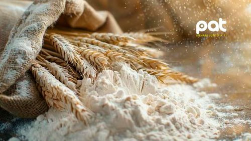 ¿Qué pasa en el cuerpo si no se consume harina refinada por un mes?