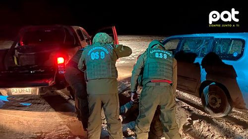 Ingresan 120 mil vehículos ilegales al año y generan pérdidas millonarias