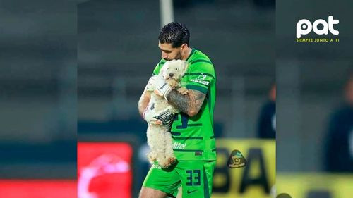  Lo vio en la cancha, asustado, corriendo sin rumbo entre jugadores y gritos  