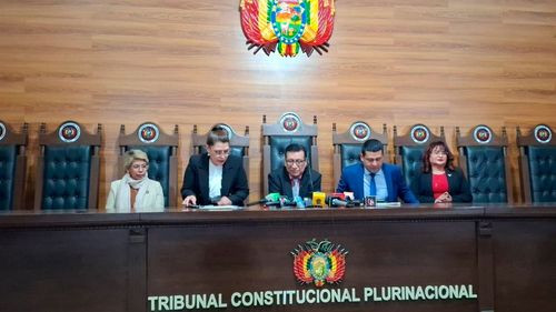Tribunal Constitucional habilita candidatura de Andrónico Rodríguez y deja fuera a PAN-BOL de Evo Morales