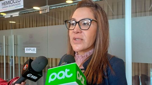 Diputada Sandra Rivero respalda a YPFB en medio de interpelación por “combustible basura”