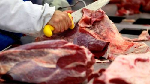 Paraguay abre su mercado a la carne bovina boliviana