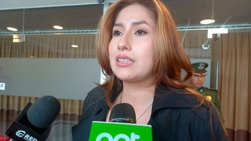 Diputada Sofía Rocha respalda imputación contra Rafael Arce por ganancias ilícitas