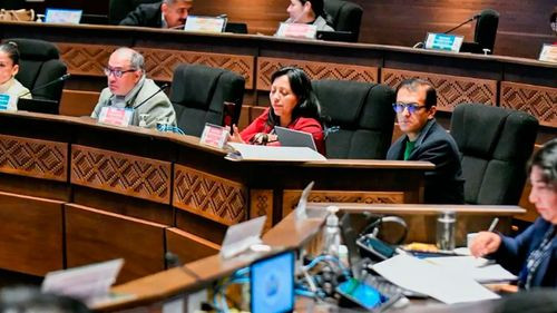 Senado conformará una comisión para investigar los 53 días de bloqueos