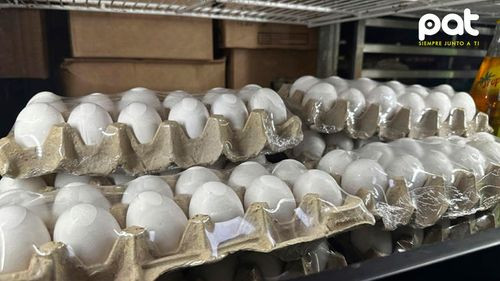 Precios de los huevos alcanzan niveles récord en Estados Unidos por brote de gripe aviar