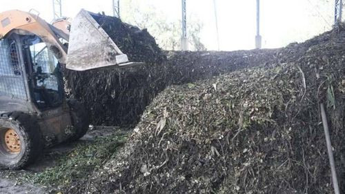  Tiquipaya produce abono orgánico con coca decomisada