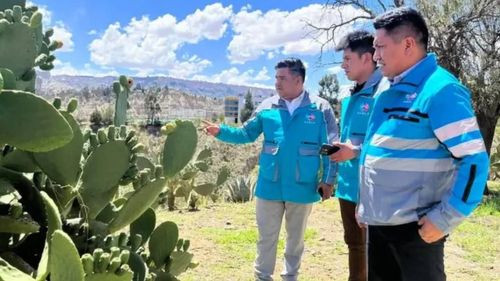 Defensoría identifica a madre e hijo agredidos verbalmente en Achumani y toma ‘acciones’