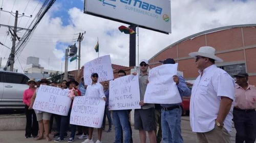 Porcinocultores exigen respuestas a Emapa por la falta de maíz, el quintal pasó de 45 a Bs 155