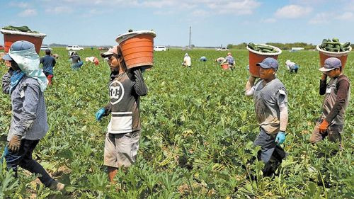 Agricultores y productores de Concepción anuncian bloqueo indefinido por falta de combustible