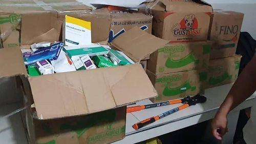 Presentan a dos personas capturadas por robo de productos valuados en Bs 300.000 de una farmacia