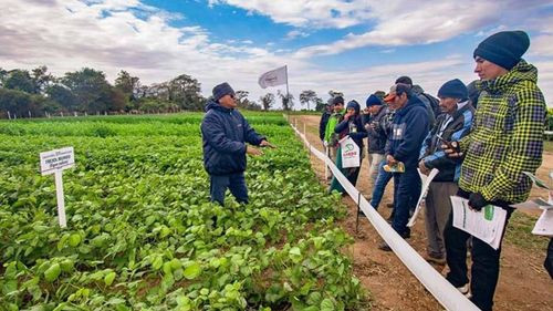 En el Día Nacional de la Agricultura Sostenible, ANAPO promueve prácticas que protegen el suelo