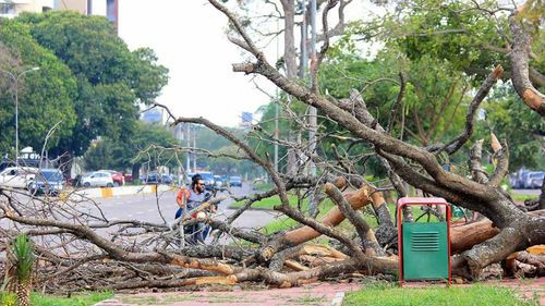 Senamhi activa alerta naranja debido a los fuertes vientos
