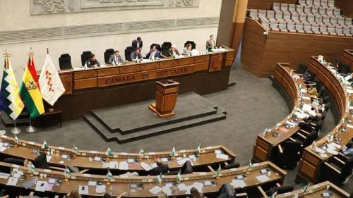 Diputados aprueban traspaso del prediario y bono de vacunación al Gobierno central