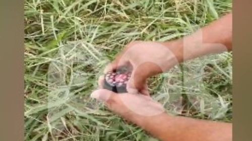 Hallan marihuana en parque infantil y vecinos denuncian refugio de delincuentes