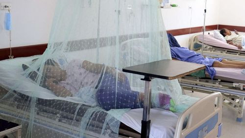 Santa Cruz reporta un descenso de casos de dengue que va de 263 a 81 por día